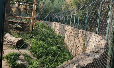 ステンレス鋼のケーブルメッシュは動物園の建設に理想的な素材です ステンレス鋼のケーブルメッシュは動物園の建設に理想的な素材です