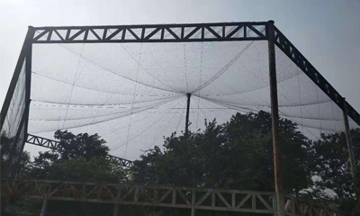 ステンレス鋼のケーブルメッシュは動物園の建設に理想的な素材です ステンレス鋼のケーブルメッシュは動物園の建設に理想的な素材です