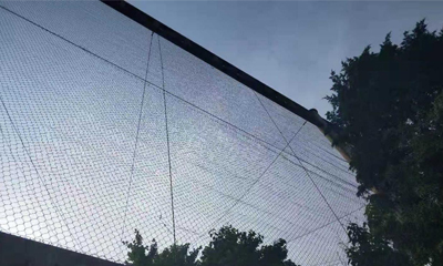 ステンレス鋼のケーブルメッシュは動物園の建設に理想的な素材です ステンレス鋼のケーブルメッシュは動物園の建設に理想的な素材です