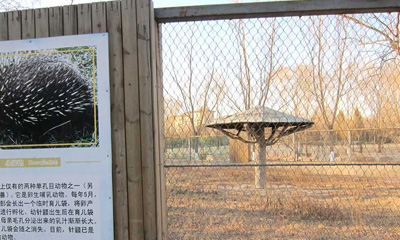 動物園メッシュ 動物園メッシュ