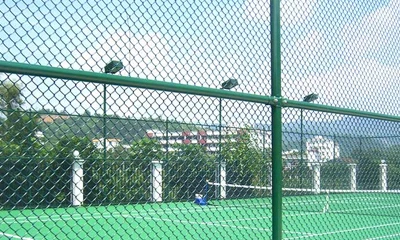 金網フェンス製品の選び方