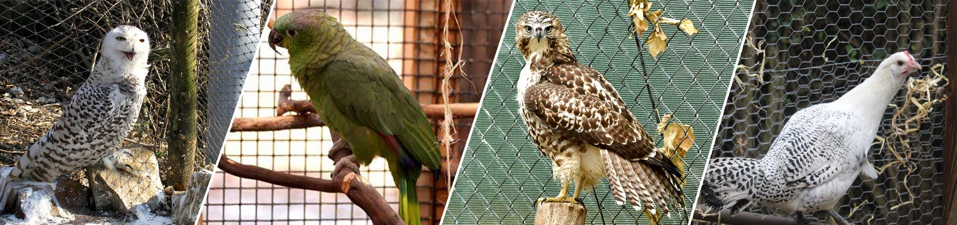 バードメッシュと鳥小屋メッシュ