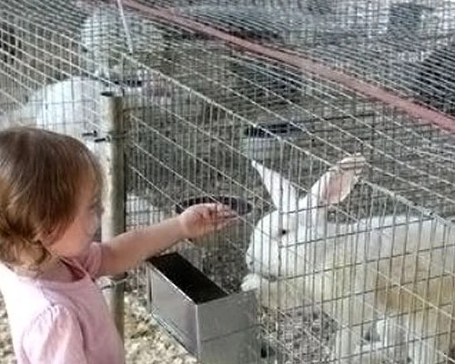 畜産メッシュ